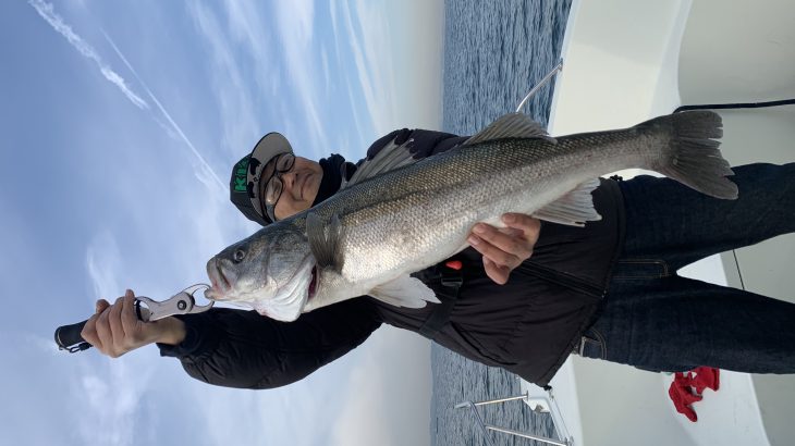 Fishing guide in Tokyo bay    -December 20th , 2018