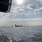 Fishing guide in Tokyo bay    -January 30th,2019-