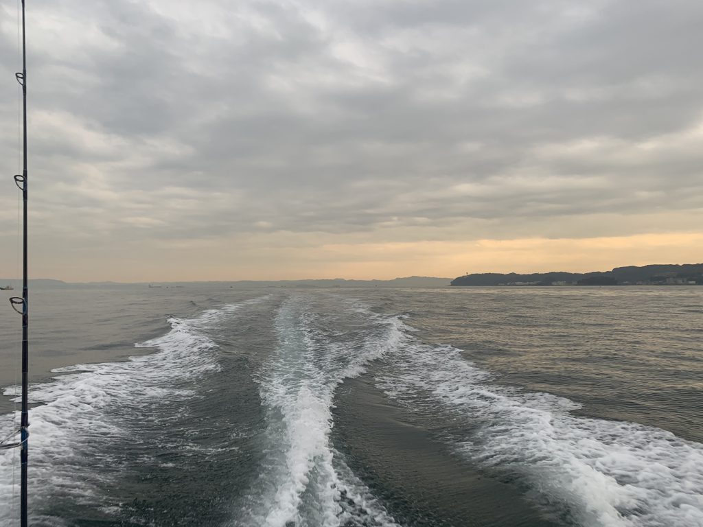 Fishing guide in Tokyo bay February 16th,2019 Tokyo Japan Fishing Guide