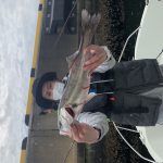 Fishing guide in Tokyo bay-May 15th,2019