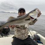 Fishing guide in Tokyo bay-July 14th,2019