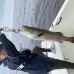 Fishing guide in Tokyo bay-【July 21st,2019】