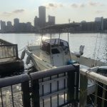 Fishing guide in Tokyo bay【August 4th,2019】