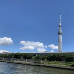 Fishing guide in Tokyo bay【August 4th,2019】