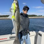 October 1 2 3 5 8 9 10 11 12 14 16 17 18 20 22 23 24 27 28 30 31,2025